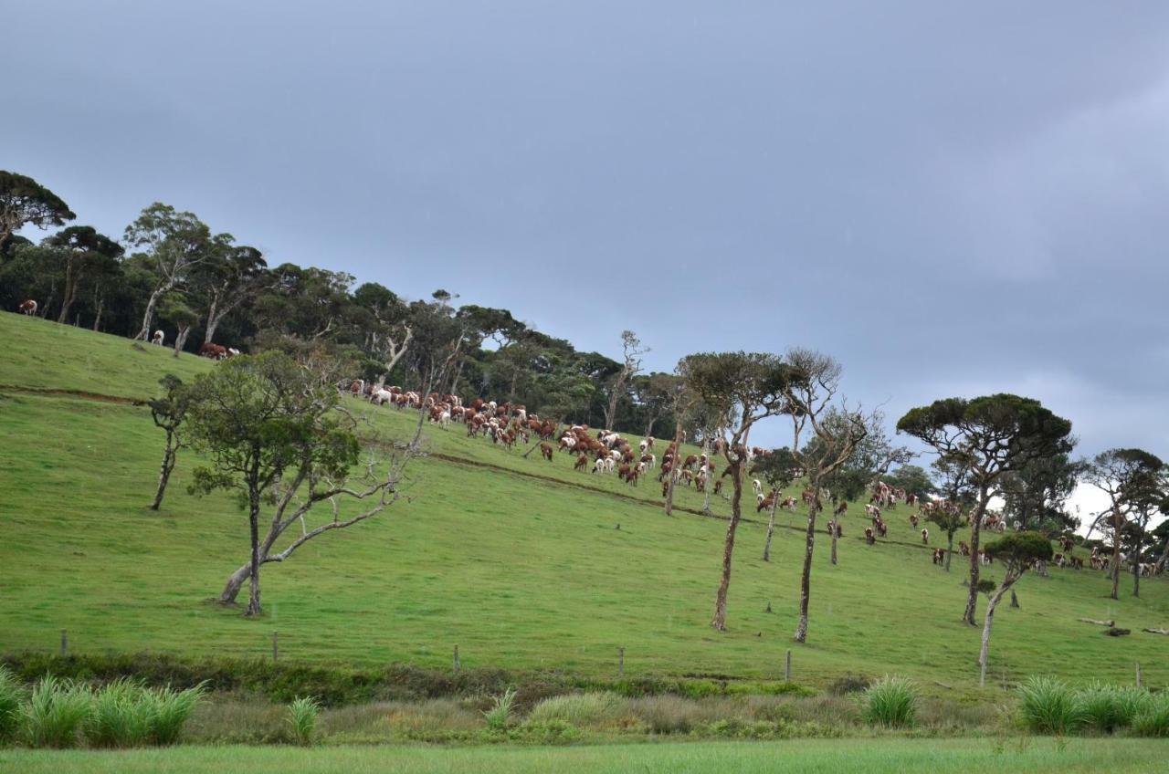 Yensfield Blackpool Nuwara Eliya Esterno foto