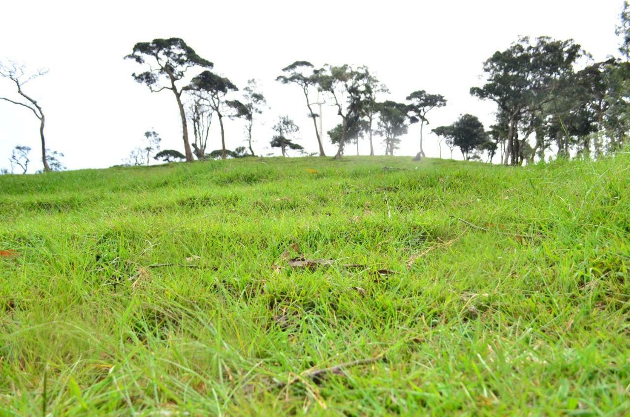 Yensfield Blackpool Nuwara Eliya Esterno foto