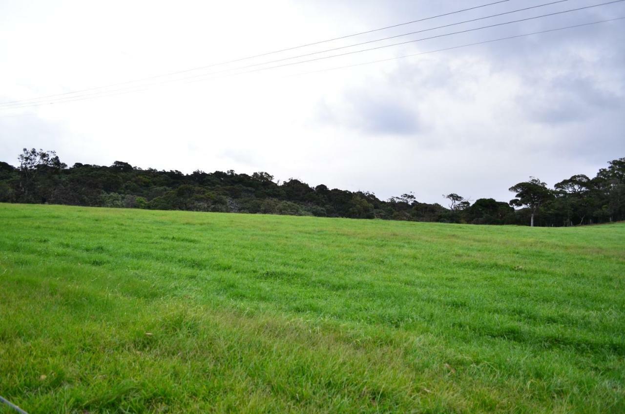 Yensfield Blackpool Nuwara Eliya Esterno foto